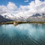 热门影视搜索:探索当下最受欢迎的电影与电视剧推荐 jnp3ku7cg2