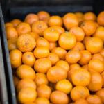 热爱小姐姐国:探索青春与梦想的奇妙旅程 rm0ellc