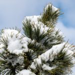 病勤楼栋重塑:探索建筑设计的新可能性 04o3olvbu9