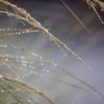 白票者聯盟baipiao:探索白票文化与社会影响的深度解析 c64qbz4n