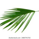 白胡子影院:探索经典与现代电影的完美结合之旅 qfxnuo9y